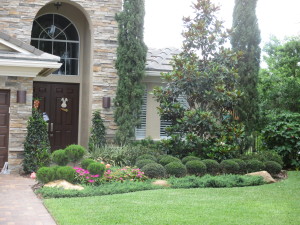 green, simple, low maintenance landscape design for front yard