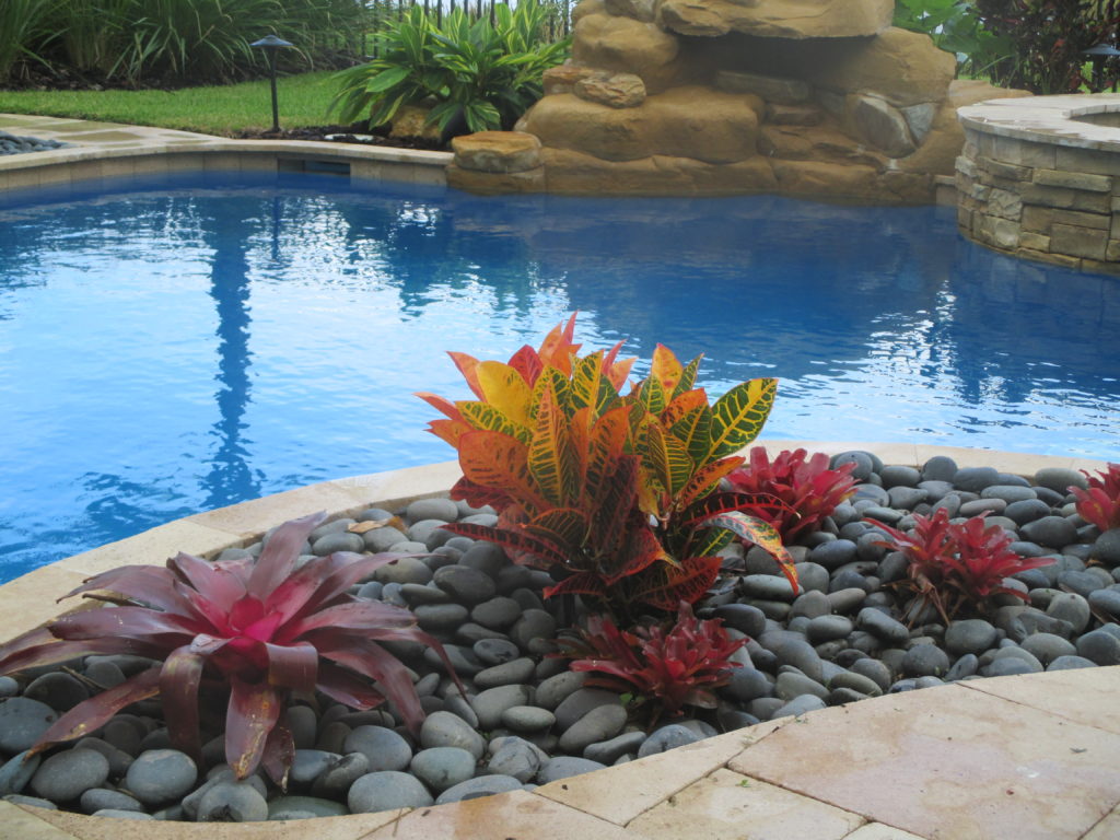 Photo shows a closeup of Mexican Beach Pebble stone being used in a pool planter with some Bromeliads for a clean, tropical look.  3" - 5" stones were used in the project as a larger stone is often a better choice for pools with a lot of splashing as they do not move with water as easily.  Hope you like. 
