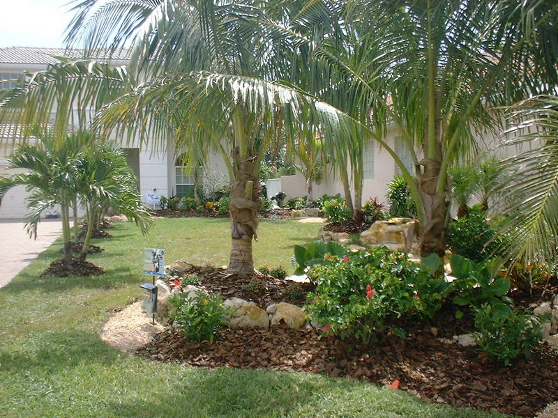 front yard landscape & waterfall for a xero lot line yard and new ...