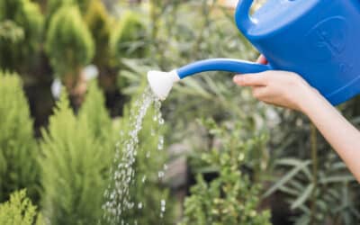 Can the internal water supply to a home or building be affected by new landscaping or irrigation work that is installed?