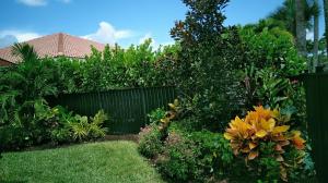 Penta flowers (purple bloom) in front of bed with Dee Dee Blancher Magnolia tree to right of center planting bed in photo. Croton Petra to right front corner of photo. Christmas palm in far left